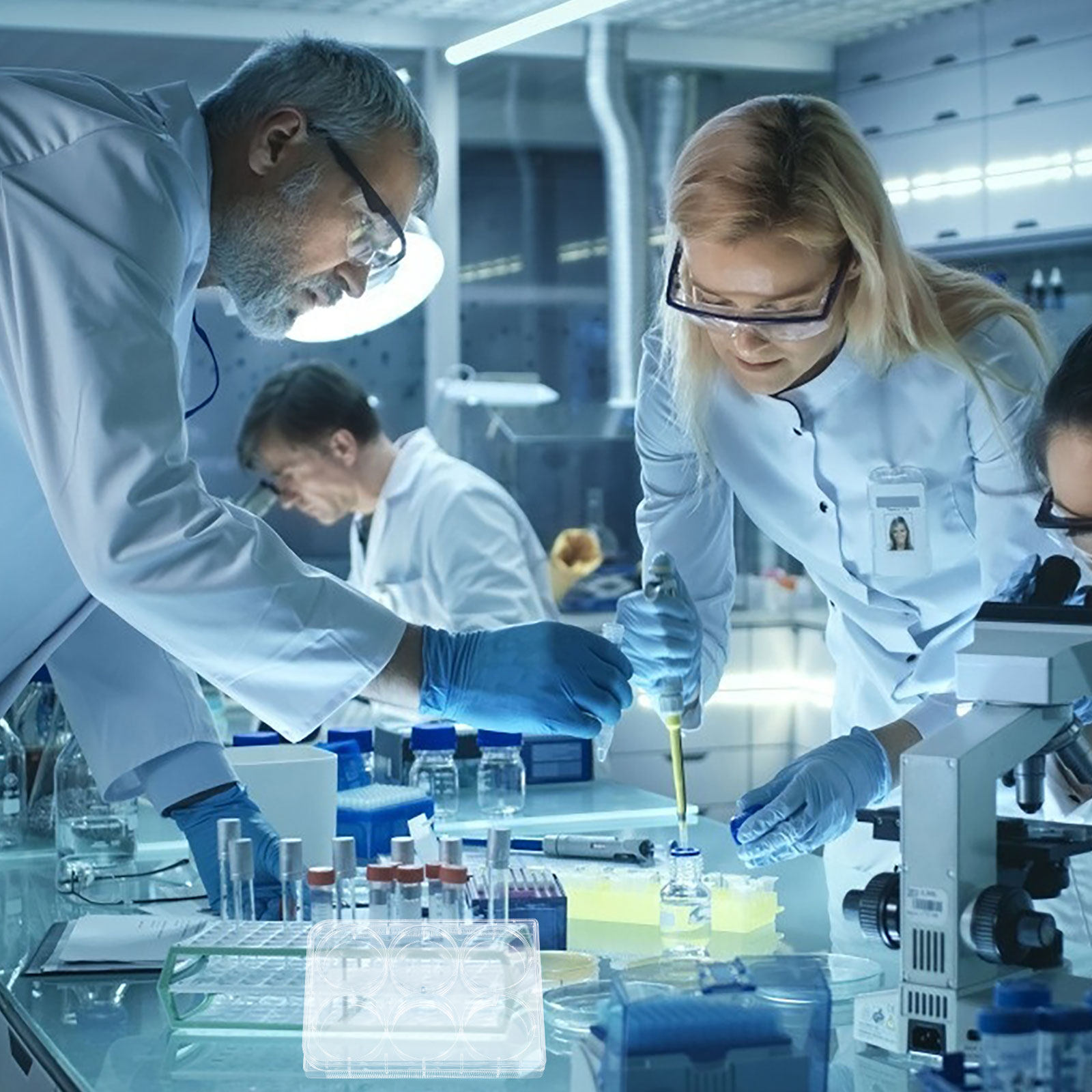 Gewebekulturplatte Labor Langl – Lab Equipment Bewertung und Preis