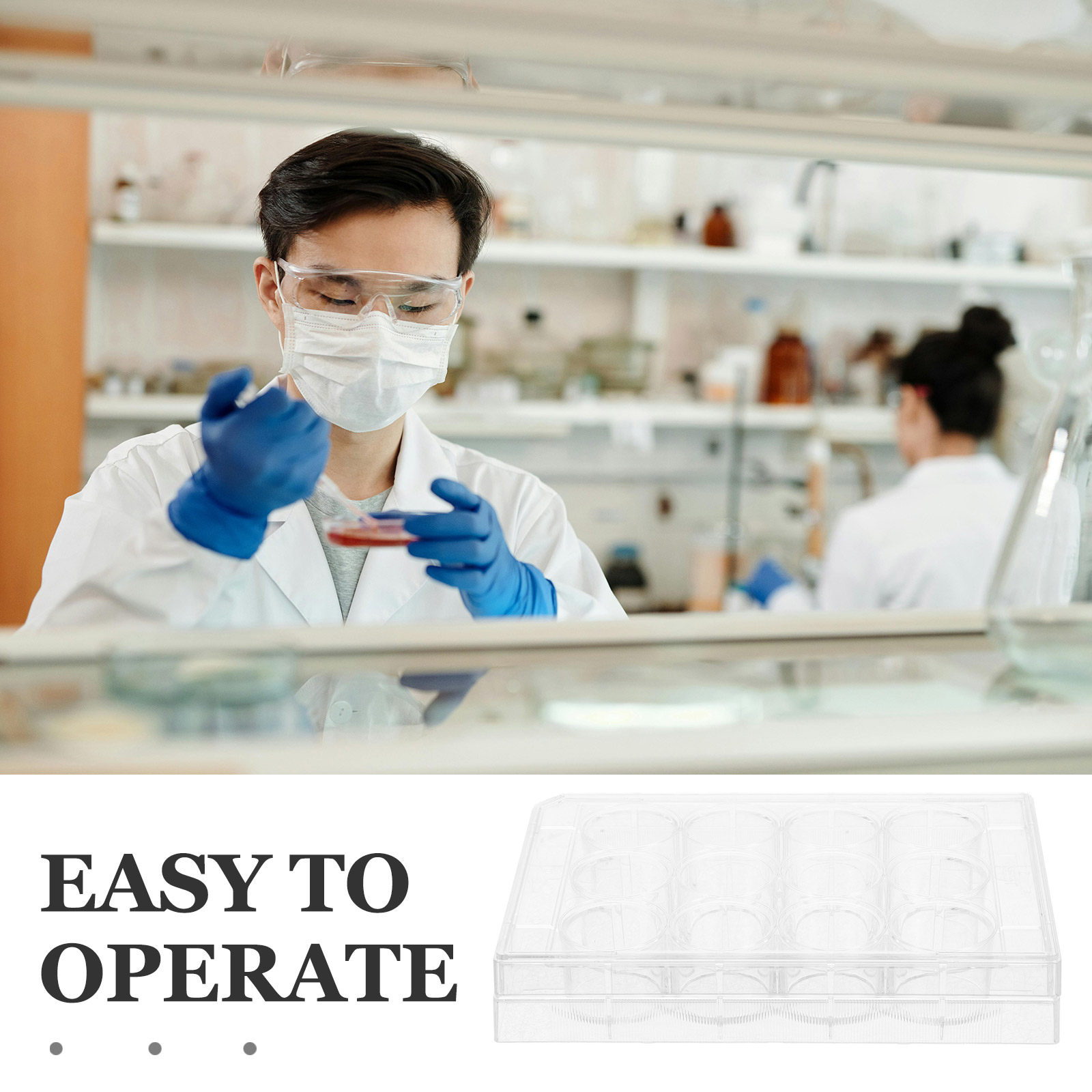 12-Well Transparente Zellkultu – Lab Equipment Bewertung und Preis